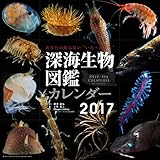 カレンダー「深海生物図鑑」2017年版