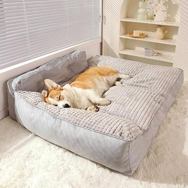 Amazon.co.jp 最新リリース: 犬用ベッド・クッション の新着ランキング