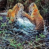 To shine Type-C (CD RUUNA盤) mu-mo ・ イベント会場限定盤