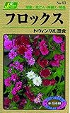 カネコ種苗 草花タネ093 フロックス トゥインクル 混合 10袋セット