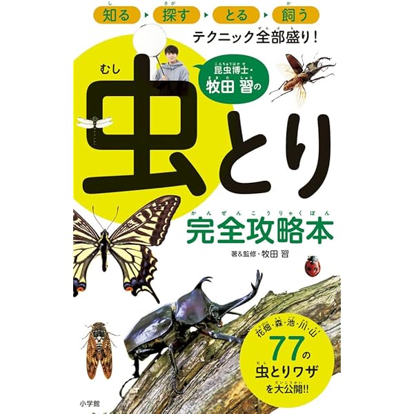 水平運動虫の研究 全6巻セット 昆虫 - 講談社の動く図鑑MOVE｜講談社