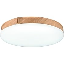 【美品】スワン電器 UZUKAZE ウズカゼ シーリングファンライト ホワイト UZUKAZE mini | スワン電器 | SWAN