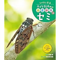 セミの生活史 橋本洽二 昆虫 リサイクル本 プロフ必読 セミの生活史 (自然に生きる) | 橋本 洽二 |本 | 通販 | Amazon