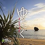 ��񂽂��`��������`