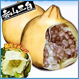 ザクロ苗木 三白ざくろ