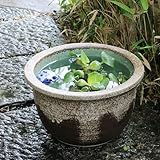 信楽焼 10号灰釉流し すいれん鉢 メダカ鉢 睡蓮鉢 スイレン鉢 金魚鉢 水鉢 陶器 su-0194 (灰釉流し色)