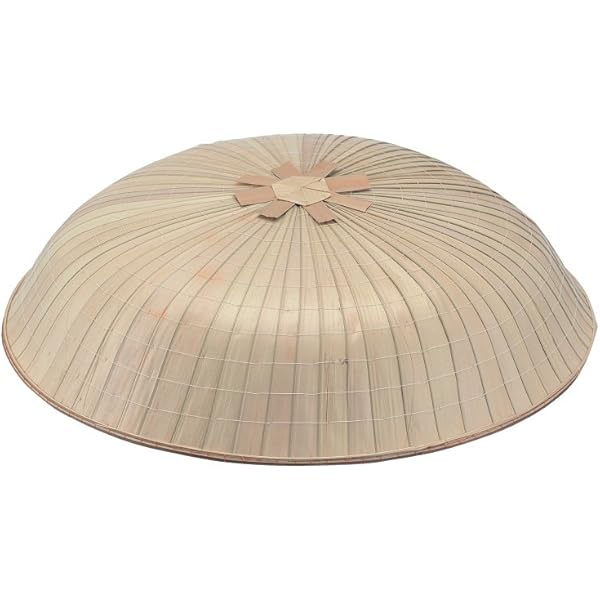 Amazon.co.jp: [下八重商店] 三味線 踊り用小道具 しゃみせん : 家電