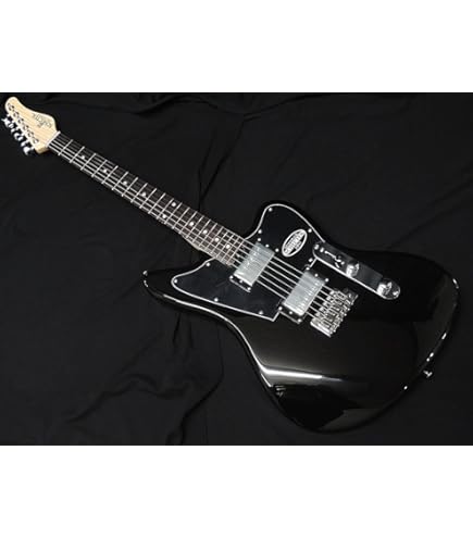 Amazon | SCHECTER OL-NV-7-2H-FXD BKM R シェクター ブラック