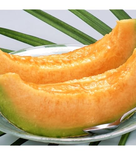 夕張メロン 6玉8キロ① Amazon.co.jp: 北海道夕張産 夕張メロン6玉（共撰・優品・8kg） : 食品