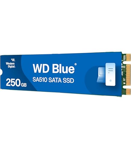 Amazon | Western Digital(ウエスタンデジタル) 250GB WD Blue SN570
