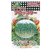 お買得セット スプラウトタネ ブロッコリー KS100-752 カネコ種苗 2袋入 家庭菜園