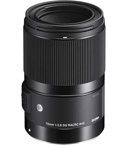Amazon.co.jp: シグマ APO 70-200mm F2.8IIEX DG MACRO HSM ソニー用