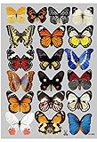 Amaonm 19 Pcs Removable Diy Pvc 3d Colorful Butterfly Wall Sticker Murals Butterflies Wall Decals Wa