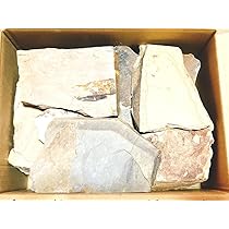 Amazon.co.jp: 天然砥石 山城銘砥 原石 奥殿 中山 大突 菖蒲谷