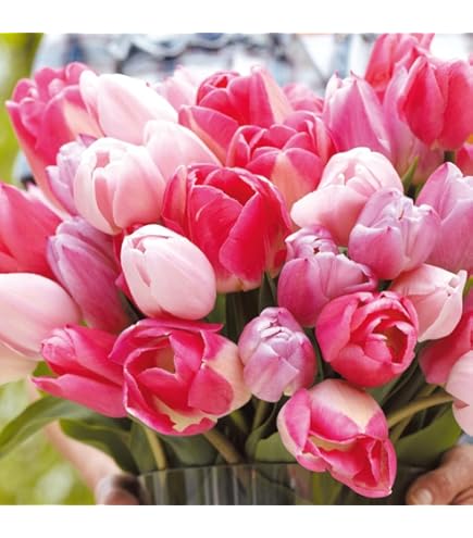 1989mページ】チューリップブーケ 楽天市場】チューリップ（ブライダル