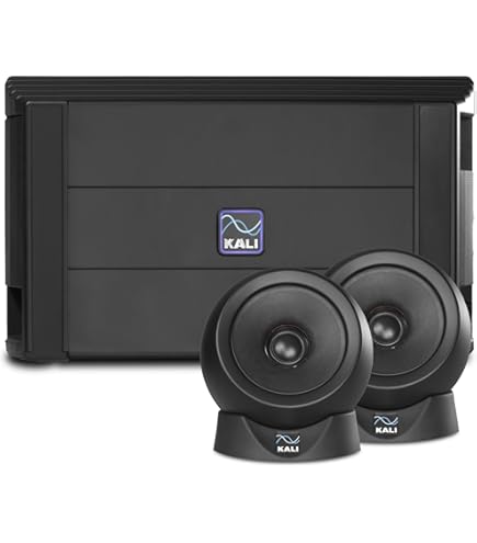SC205 スピーカー 2本セット Amazon | 【正規輸入品】 EVE Audio SC205 アクティブモニター