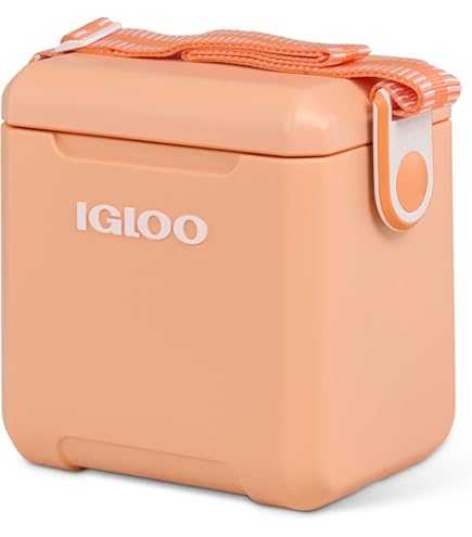 Amazon | igloo(イグルー) カンタム 55 (52L) ターコイズ #49650(BK 