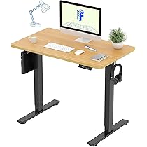 FLEXISPOT 電動式スタンディングデスク EF1 幅120×奥行60 メモリー機能