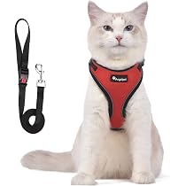 Amazon | 猫 猫用 ハーネス 胴輪 猫具 ねこ ネコ 子猫 子犬 小型犬