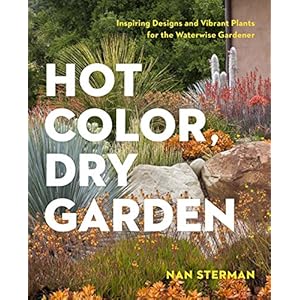 Hot Color, Dry Garden: Inspiring Designs and Vibrant Plants for Year-round Beauty