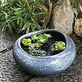 信楽焼 13号すいれん鉢 睡蓮鉢 スイレン鉢 金魚鉢 水鉢 陶器 su-0179