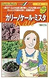 カリーノケールミスタ