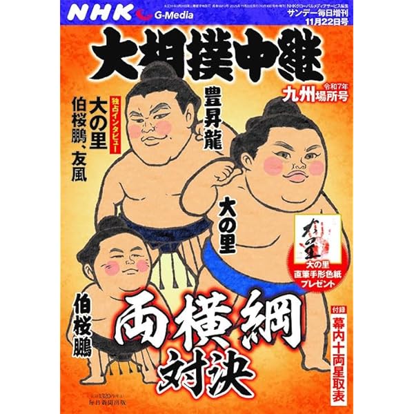奈落の底から見上げた明日 | 照ノ富士 春雄 |本 | 通販 | Amazon