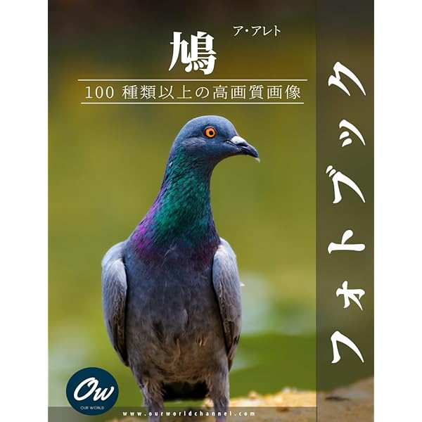 【中古】 ハトの大研究 古代から人とともに生きてきた鳥/ＰＨＰ研究所/国松俊英 ハトの大研究 | 書籍 | PHP研究所