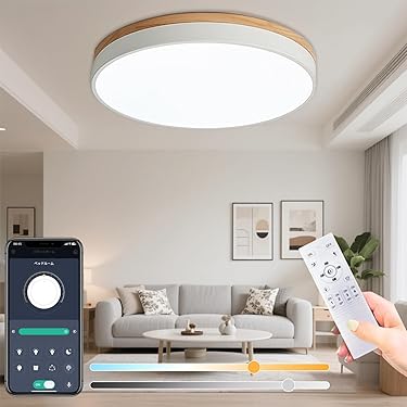 Amazon.co.jp 最新リリース: シーリングライト の新着ランキング