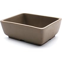 美芸　常滑　盆栽鉢　長方形　彫入り Amazon.co.jp: うめきち盆栽用品店 盆栽鉢 5号 ナデ角 う泥