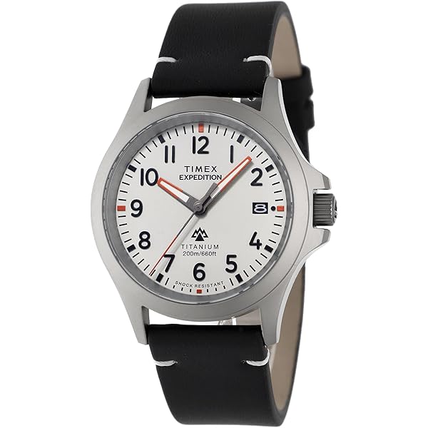 Amazon | Timex メンズ エクスペディション ノースフィールド