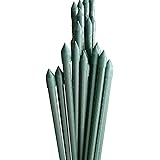 支柱 園芸 180cm 直径11mm 50本１組 イボ付 鋼管製 家庭菜園 グリーン イボ竹 国華園