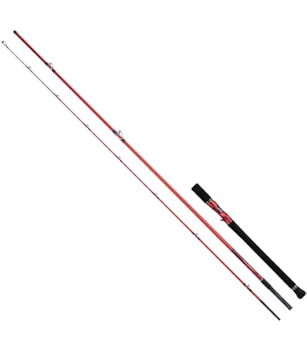 Amazon | シマノ(SHIMANO) サーフロッド 25ネッサ エクスチューン