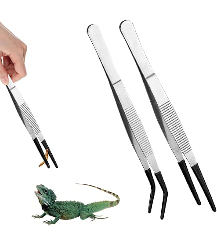 Amazon.co.jp: 2 個給餌ピンセット 爬虫類ピンセット セーフティ