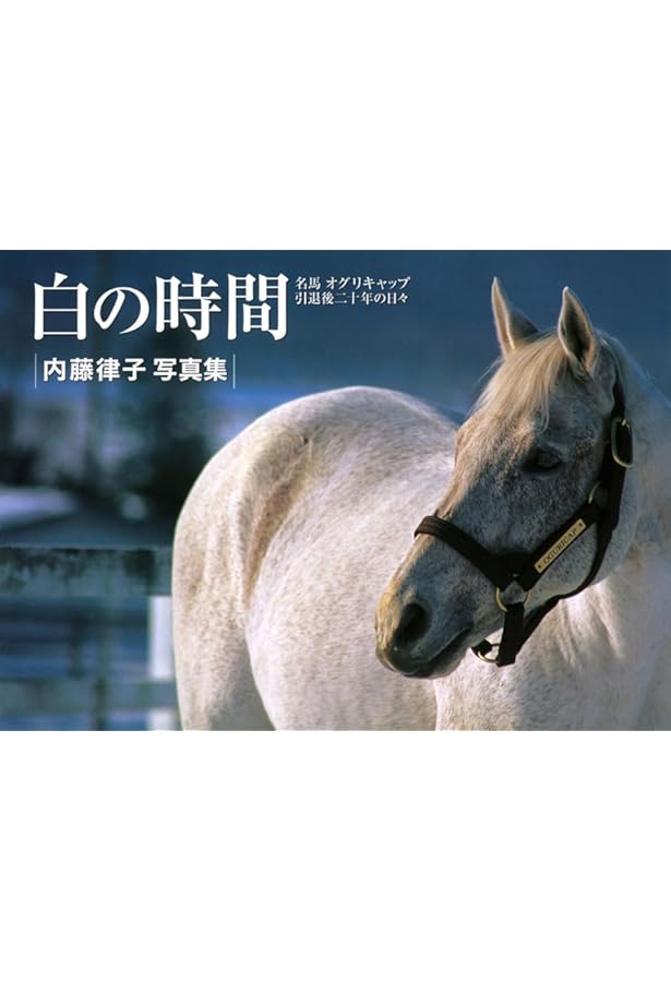 銀の夢: オグリキャップに賭けた人々 (講談社文庫 わ 15-1) | 渡瀬