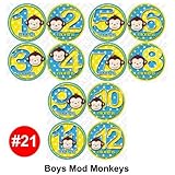 Monthly Infant Stickers - BOY MOD MONKEY Baby Month Onesie Stickers Baby Shower Gift Photo Shower St