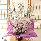 BunBunBee 早春の大きな桜アレンジ「桜と過ごす春の刻」