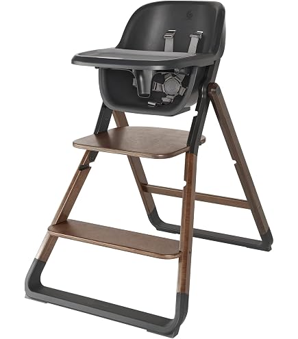 Amazon | Ergobaby(エルゴベビー) evolve チェア FTEGEVLTCBRDKWD