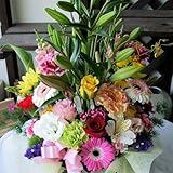 季節のお花おまかせアレンジメントA(カラフル)「誕生日」「お祝い」「花の産地千葉県館山から」