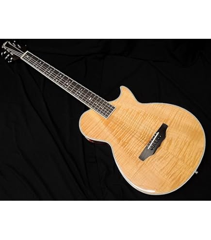 CRAFTER CT-125C/N エレガット(ナイロン弦) Amazon | Crafter クラフター クラシックギター CT/CTSシリーズ