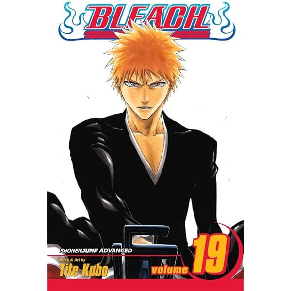 Amazon | Bleach, Vol. 19: The Black Moon Rising (English Edition