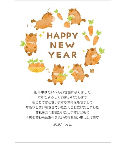 ✨️新品✨️年賀状じまい 新年お知らせ 日の出 私製はがき 20枚入