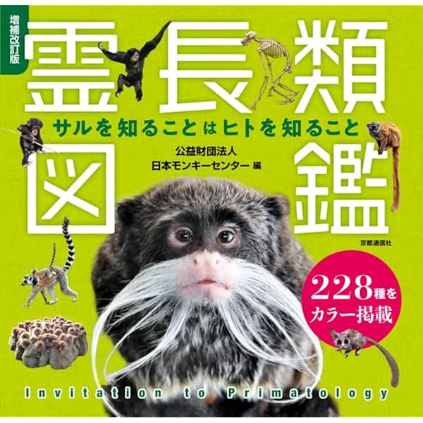 新しい霊長類学―人を深く知るための100問100答 (ブルーバックス