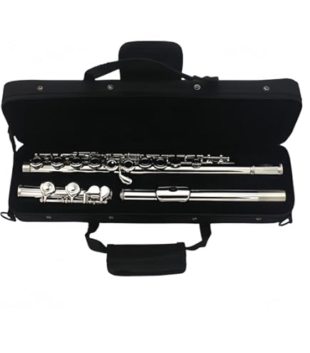 Amazon | Jマイケル フルート JFL-65CE 銀製頭部管 | フルート | 楽器