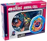 Famemaster 4D-Science Animal Cell Anatomy Model