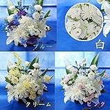 お供え 花 アレンジメント『AC』弔電 家族葬の花 フラワー 生花 ユリ 供花 16時〆即日発送可能(日曜除く),白（49日までは白が無難です）