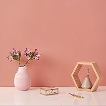 61p1353XxsL._AC_UL210_SR210,