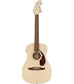 Amazon | Fender エレアコ Malibu Player, Arctic Gold ソフトケース