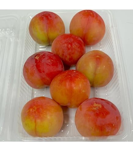 Amazon.co.jp: すもも 大石早生 プラム 1.6kg 400g×4パック 福岡産