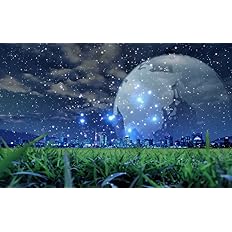 Amazon 絵画風 壁紙ポスター はがせるシール式 蛍の光と都会の幻想的な夜景 蛍光 幻 惑星 月 神秘 癒し キャラクロ Sffl 001w2 ワイド版 603mm 376mm 建築用壁紙 耐候性塗料 日本製 ウォールステッカー お風呂ポスター おもちゃ おもちゃ